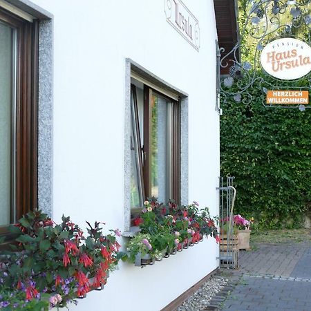 Pension Haus Ursula Koblenz (Rhineland-Palatinate) Exterior foto