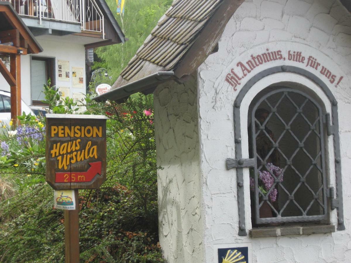 Pension Haus Ursula Koblenz (Rhineland-Palatinate) Exterior foto