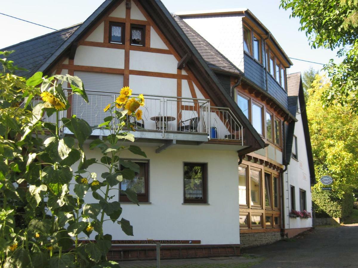 Pension Haus Ursula Koblenz (Rhineland-Palatinate) Exterior foto