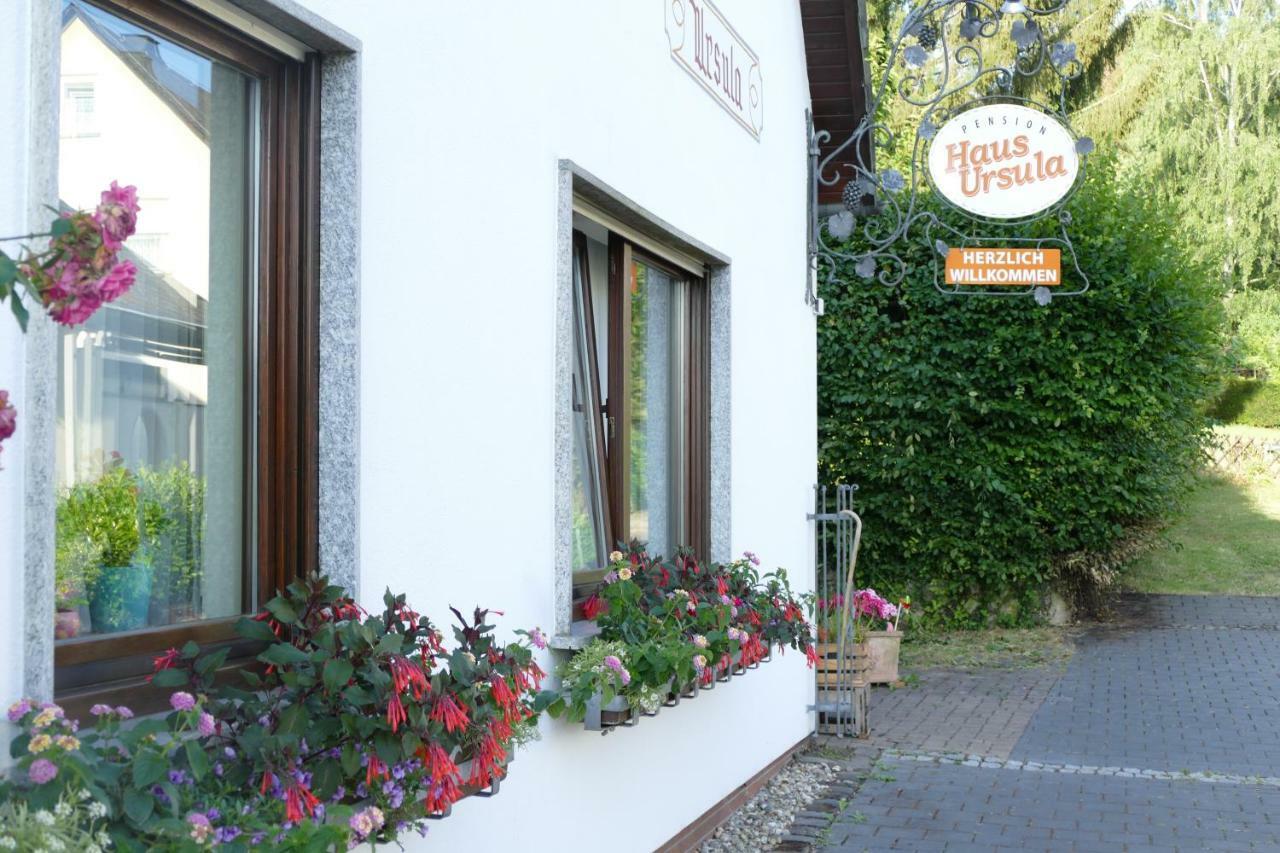 Pension Haus Ursula Koblenz (Rhineland-Palatinate) Exterior foto